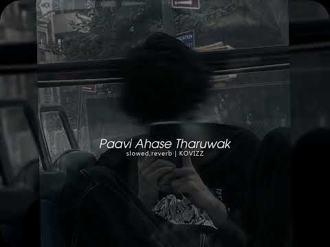 Paavi Ahase Tharuwak (slowed+reverb) | Costa ft tikx kooda