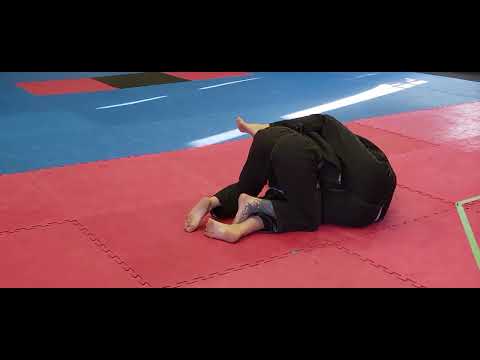 Charlene v Lisa 1, Brazilian Jiu-jitsu