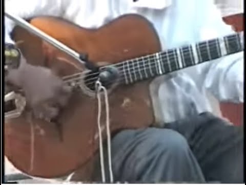 "Dark Eyes" - Gypsy Jazz - Tchavolo Schmitt