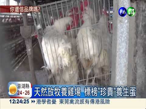 假放牧真虐雞? 統一味全蛋特別貴