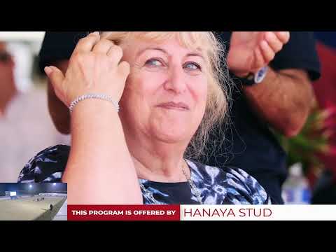 Bahrain National and Straight Egyptian Ch  2023    YCC