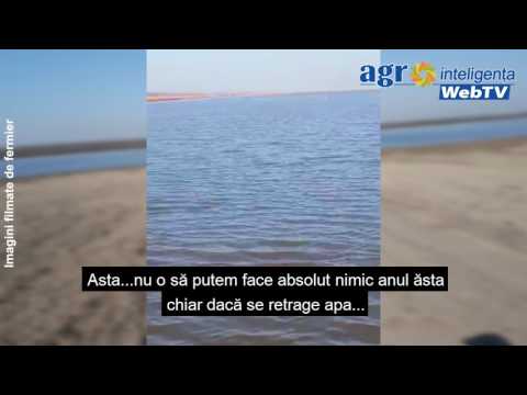 Agricultural land under water in Catane - Dolj