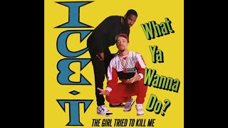 ICE T - What Ya Wanna Do (Subtitle Lyrics)
