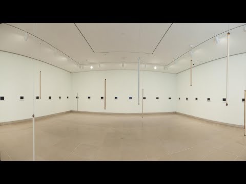 Voices on Art-Dallas Museum of Art-Artist Talk: Runo Lagomarsino