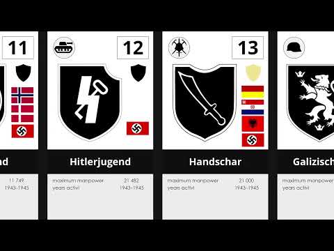 Countries from which members and volunteers of the German Waffen SS came