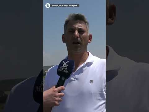 Bursa’da arıtma tesisi krizi: Kanalizasyon suları tarım arazilerine yayıldı