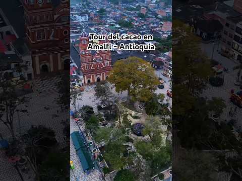 Tour del Cacao en Amalfi - Antioquia