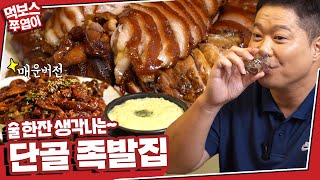 뽕나무쟁이