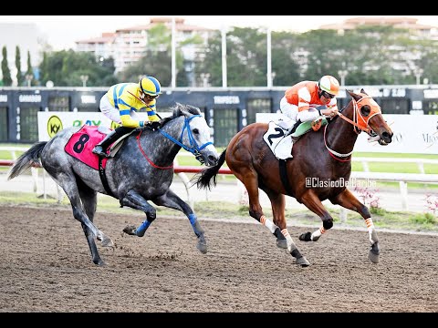 SPECTACULAR WINNER - Copa Confraternidad 2025 - Carrera y Premiación