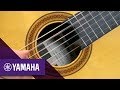 Đàn Guitar Classic Yamaha  CG182C