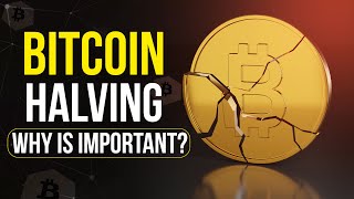 Bitcoin Halving Explained: Why It Is So Important?