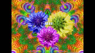 Chancha Vía Circuito   Jardines Feat  Lido Pimienta (Fan Made)