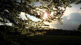 Deine Lakaien - Forest