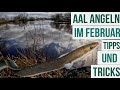 Eel Fishing In Spring Was A Success