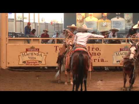 The 5 Best Ternas – National Charro Jalisco 2014