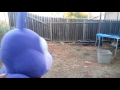 The Trampoline FNaF Shorts Ep:1 The Trampoline FNaF Shorts Ep:1