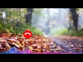 Best Instrumental Ringtone Mp3 Dil Nasi Flute Mix Ringtone Download Link