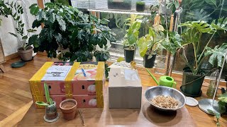 식물수다&식물언박싱 #49 (2022-08-26)