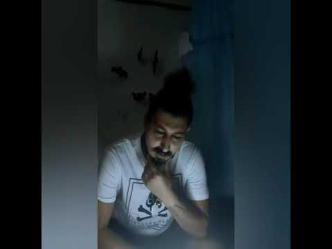 Freestyle  Zamma -1140