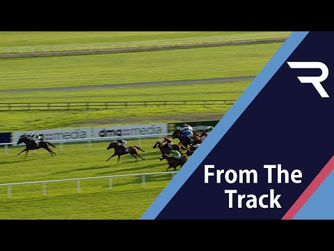 Bopedro wins the Paddy Power Irish Cambridgeshire! - Racing TV