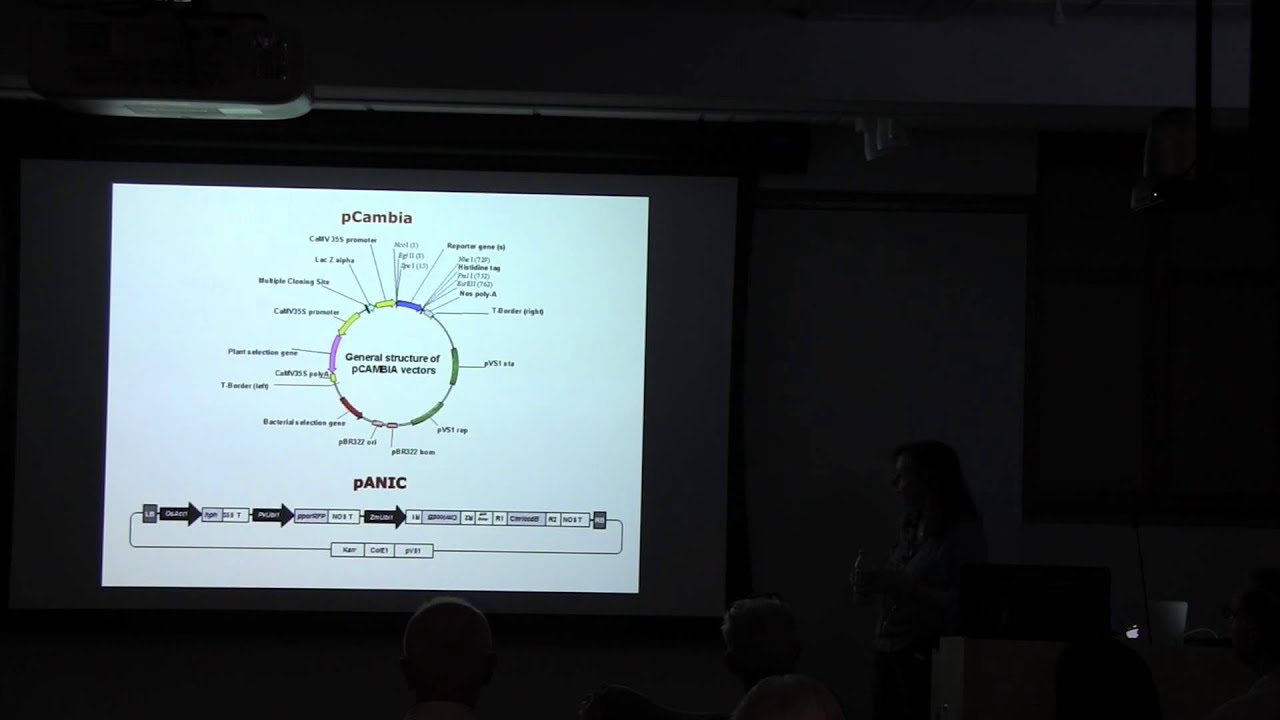 The Art and Science of Developing Plant Transformation Methods