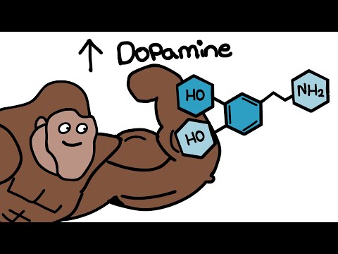 How To Increase Dopamine Naturally Explained by Ape