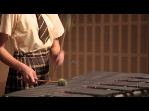 Left Bank 2: Live performance, Vision On Gallery Theme