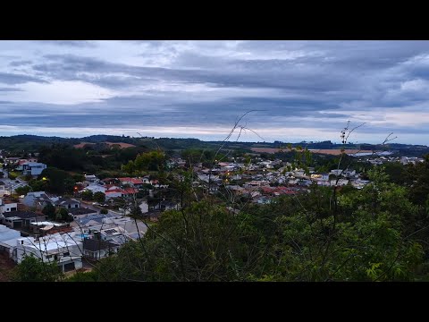 🔴 AO VIVO 🌅 DEPOIS DAs CHUVAS, UM AMANHECER SURPREENDENTE! 🐦🚗 | Laranjeiras do Sul – PR