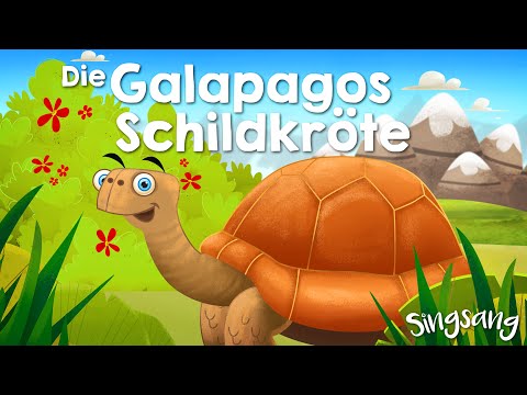 Die Galapagos-Schildkröte – Singsang – Lieder für Kinder