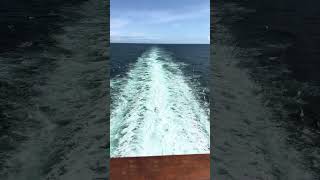 Cruising to Alaska #okaytravel #cruiselife #royalcaribbean #alaskancruise #relaxing #rccl #asmr