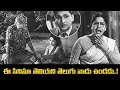 ఈ సినిమా తెలియని తెలుగు వాడు ఉండడు NTR ANR