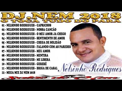 CD DO NELSINHO RODRIGUES BREGA MARCANTE REMIX DJ NEM DE ICOARACI