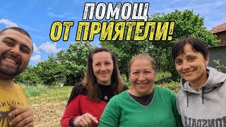 ЖИВОТ НА СЕЛО: ОТ ИЗОСТАВЕНО БУНГАЛО ДО ОЖИВЕНА ОРАНЖЕРИЯ! 🌞🏚️