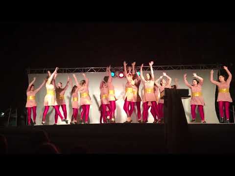 Lehakat Eretz - Shir La Ahava - Hatzerim 2017