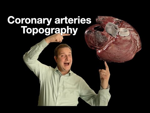 Topography of Coronary arteries