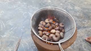 cashew nut processing at home