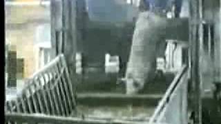 Goldfinger - Behind the Mask