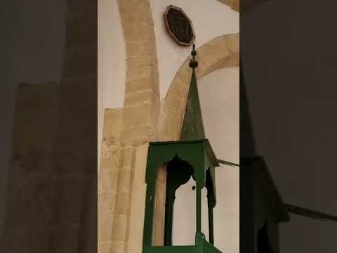 The beautiful Hala Sultan Tekke 🕌