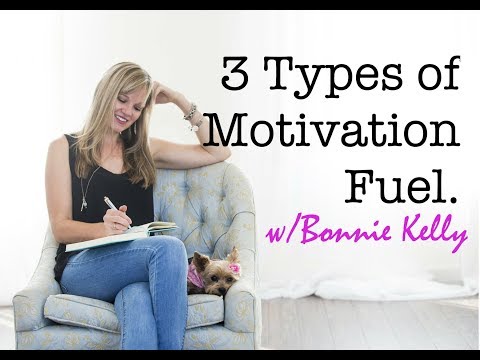 3 Types of Motivation Fuel Video
