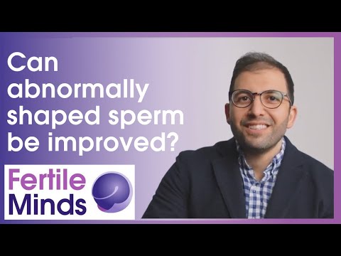 Can Abnormally Shaped Sperm Be Improved? - Fertile Minds