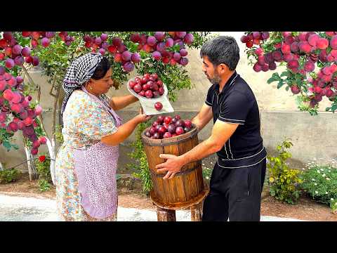 The MOST EPIC Tkemali Sauce Recipe Using WILD RED PLUMS!