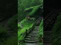 Barsaat Ke Din Aaye Emotional Rain Status Old Romantic Song Shorts Shorts