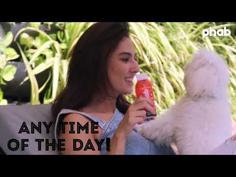 Healthy & Delicious Phab Protein Milkshakes, Bars, Whey Protein Powders & Superfood Bombs