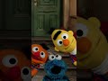 Peek A Boo Babies Sesamestreet