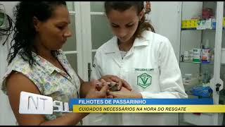 Miniatura do vídeo