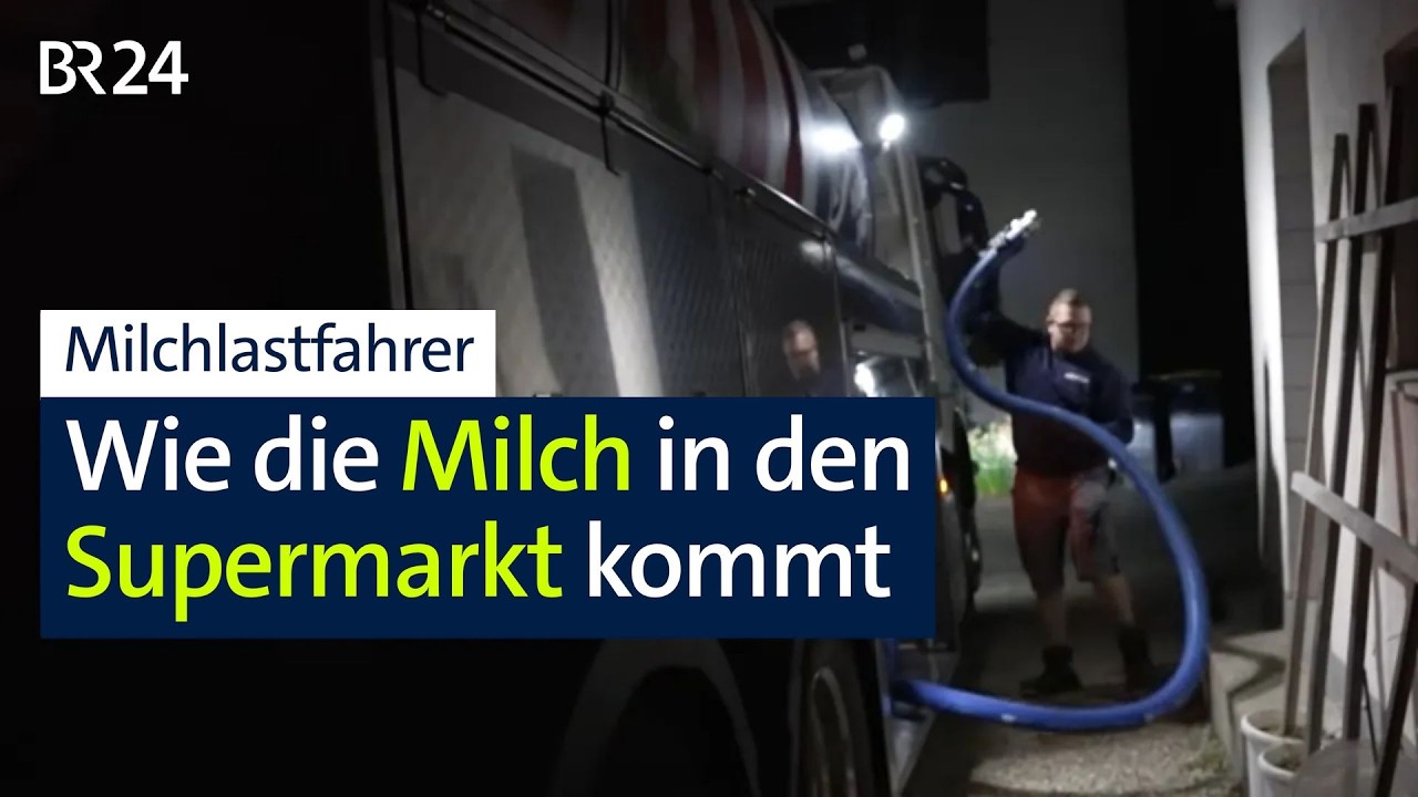 Riesenaufwand bis die Milch ins Kühlregal kommt: Alltag eines Milchlastfahrers | Abendschau | BR24