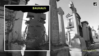 Muscle in Plastic by Bauhaus