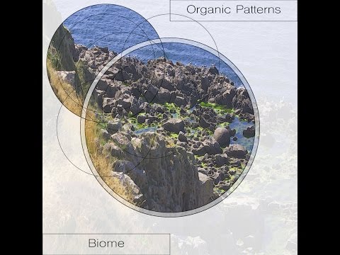 Organic Patterns - Biome
