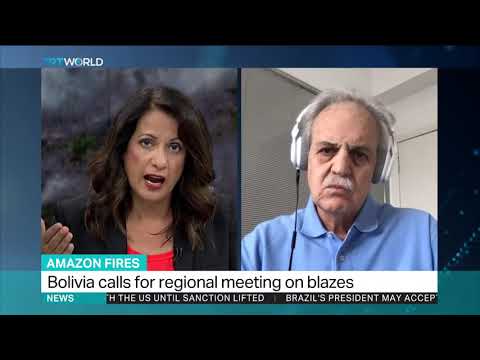 Amazon Fires: Interview with Carlos Nobre, University of Sao Paulo