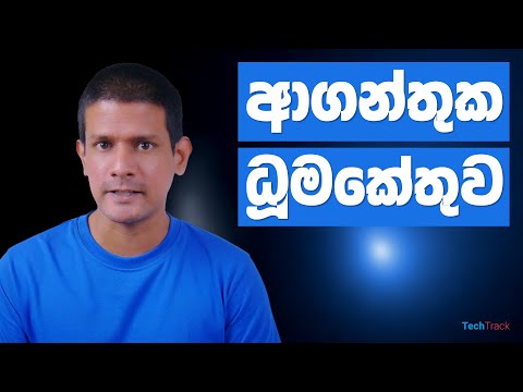 Update on 2I/Borisov